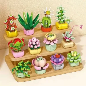 12 Boxes of Succulent Plants building blocks, all designs shown together