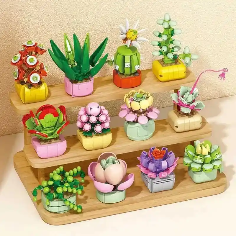 12 Boxes of Succulent Plants building blocks, all designs shown together