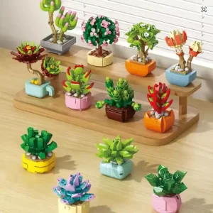 12 Boxes of Succulent Plants DIY Building Blocks