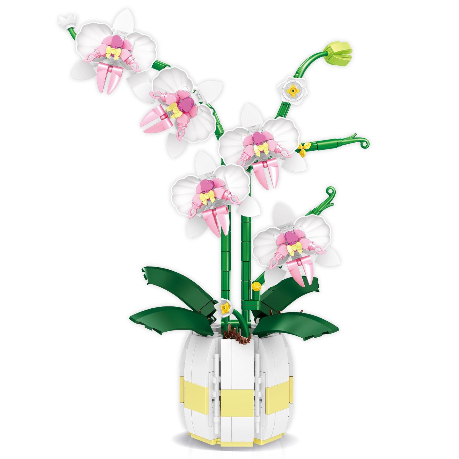Orchid DIY Building Blocks